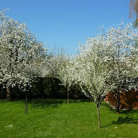 D'hotes De Florence דירה