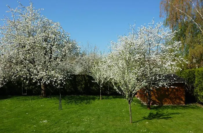 D'hotes De Florence Apartmán